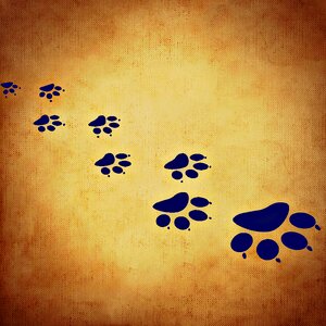 Paws traces paw. Free illustration for personal and commercial use.