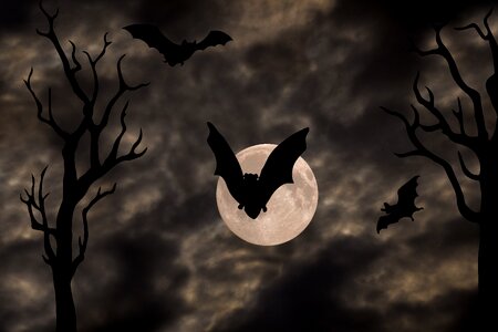 Tree bat celebration. Free illustration for personal and commercial use.