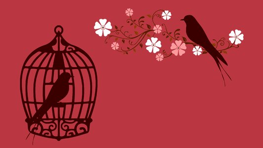 Birdcage lovebirds red. Free illustration for personal and commercial use.