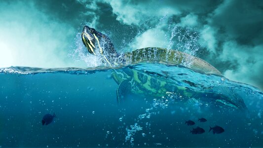 Water wave fish. Free illustration for personal and commercial use.