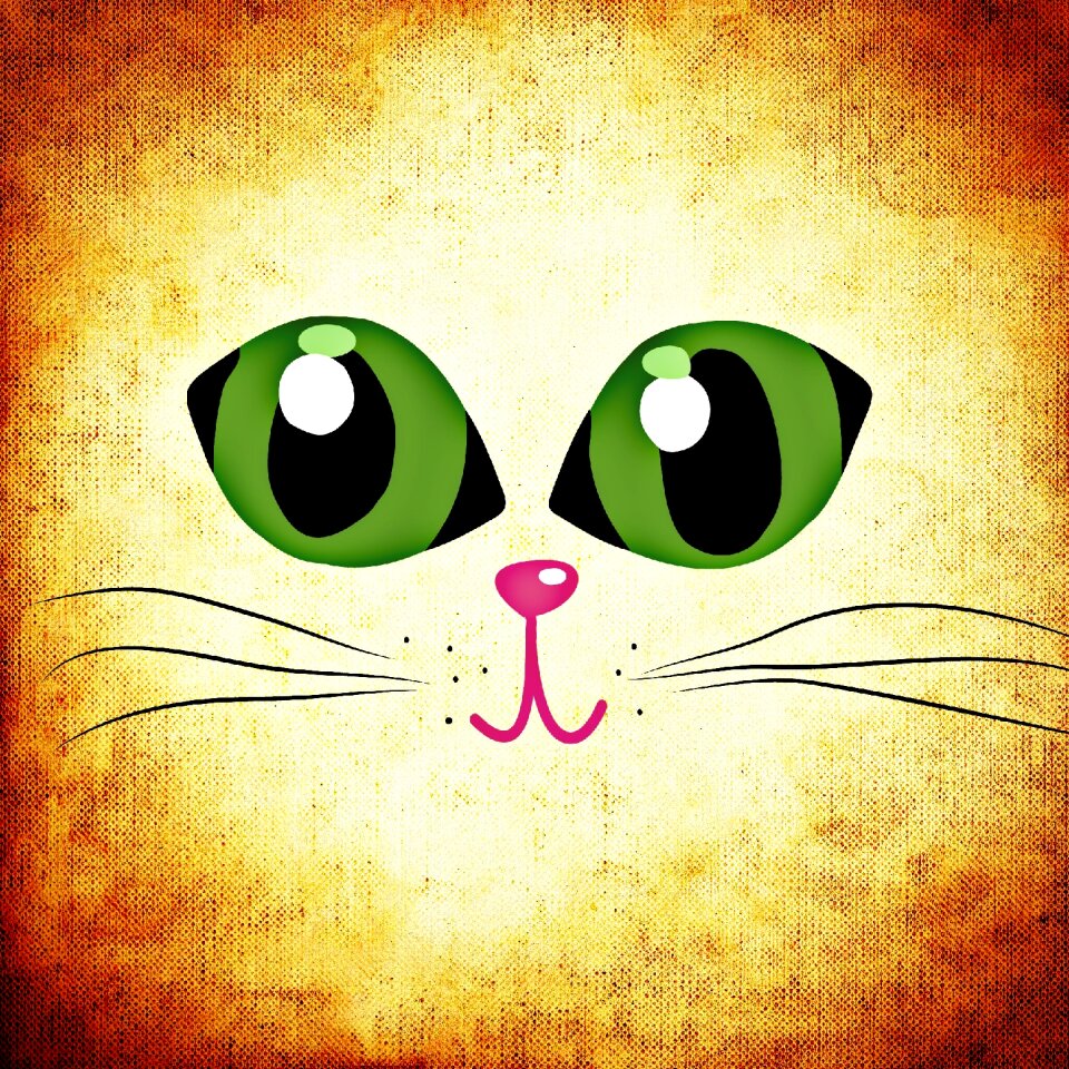 Cat animal cute. Free illustration for personal and commercial use.