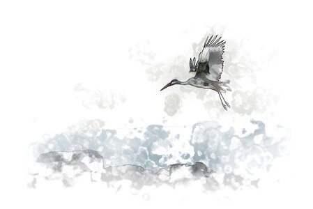 Stork fly flight. Free illustration for personal and commercial use.