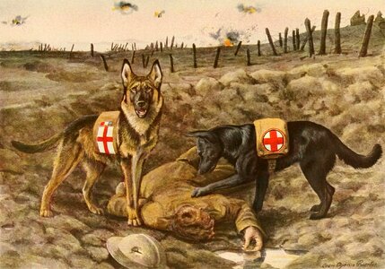 Ww1 world war one picture. Free illustration for personal and commercial use.