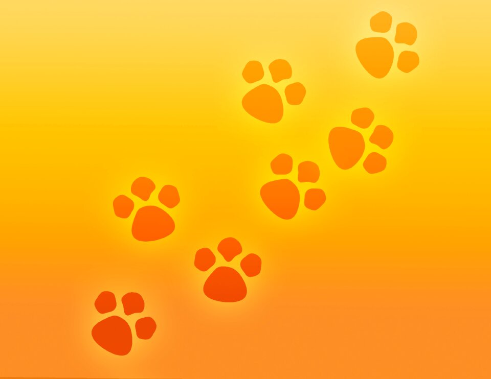 600+ Free Dog Paw & Dog Images - Pixabay