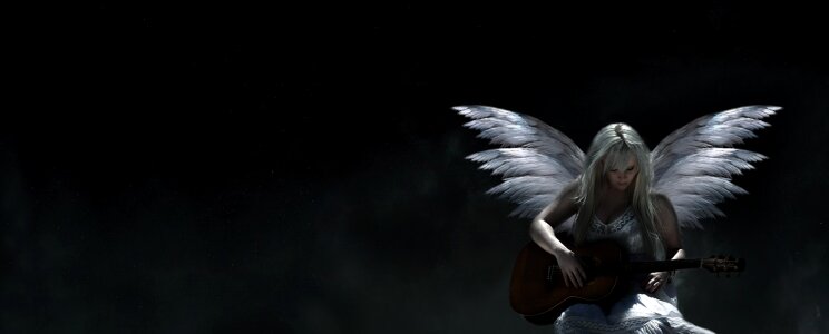 Dark white wings. Free illustration for personal and commercial use.
