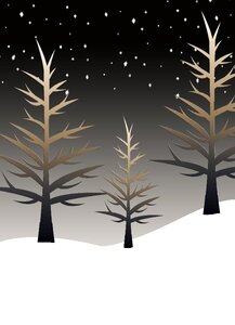 Christmas xmas nature. Free illustration for personal and commercial use.