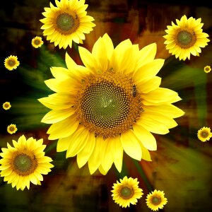 Yellow summer flower. Free illustration for personal and commercial use.