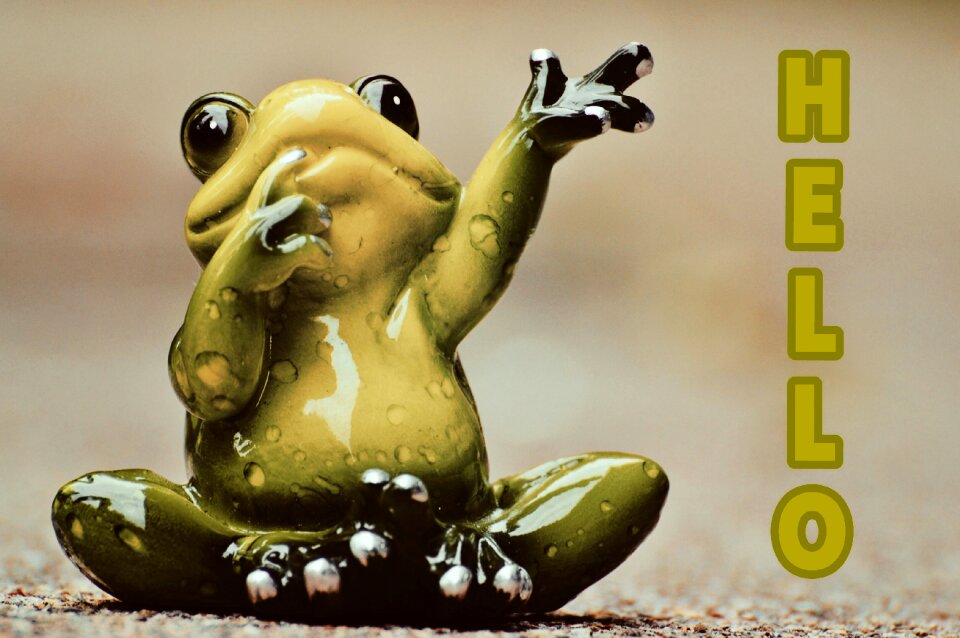 Frog funny cute. Free illustration for personal and commercial use.