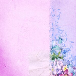 Flower pink backgrounds design. Free illustration for personal and commercial use.