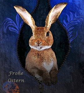 Greeting hare zip. Free illustration for personal and commercial use.