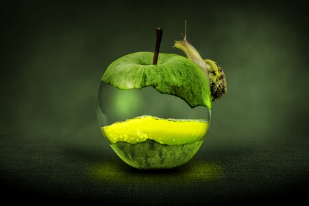 Art green apple fresh. Free illustration for personal and commercial use.