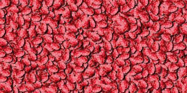 Red dessert raspberry. Free illustration for personal and commercial use.