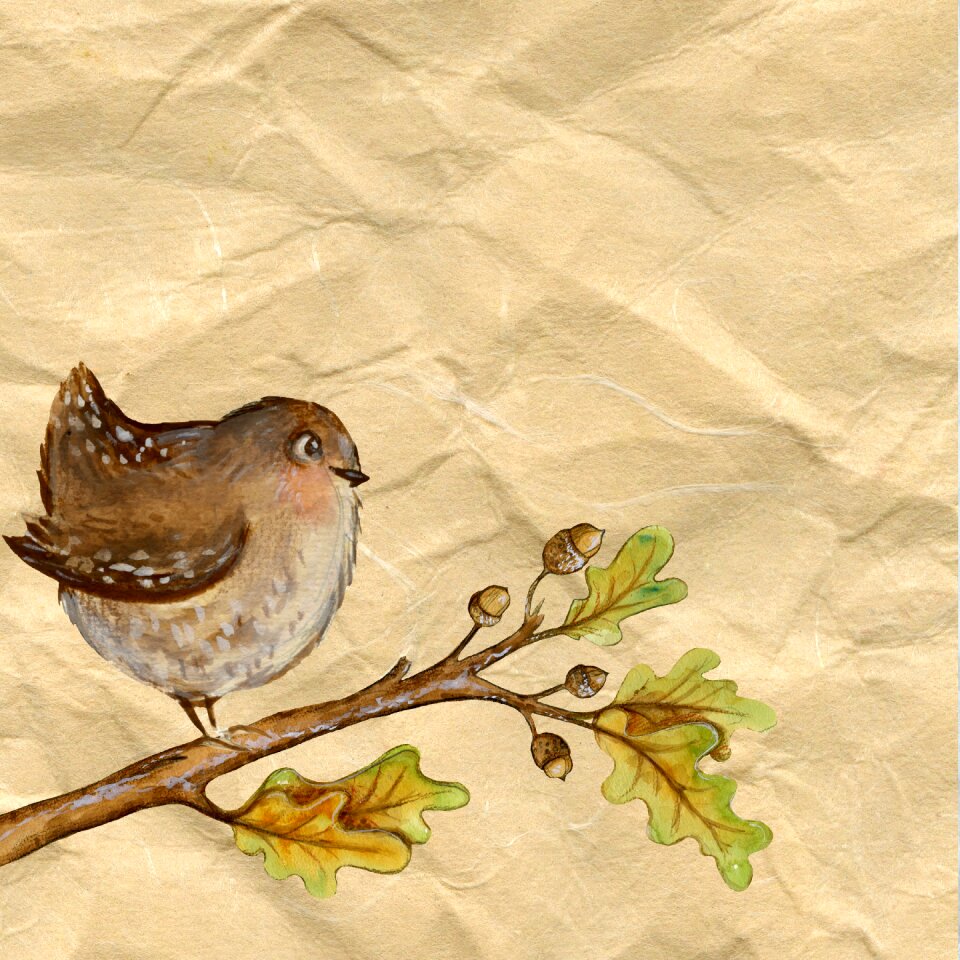 Paper bird drawing. Free illustration for personal and commercial use.