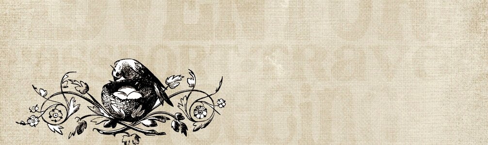Nest egg banner. Free illustration for personal and commercial use.