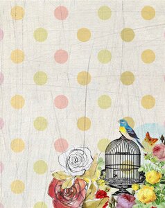 Page bird bird cage. Free illustration for personal and commercial use.
