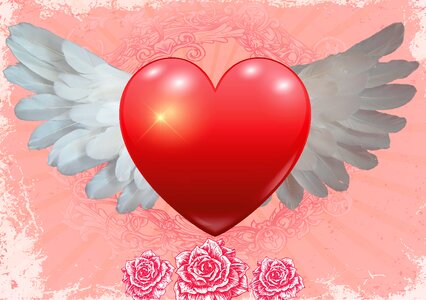 Feather valentine's day background. Free illustration for personal and commercial use.