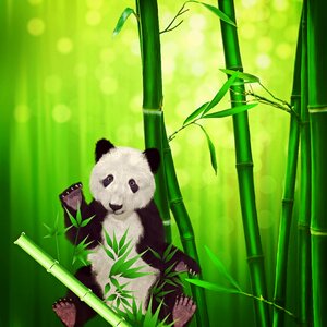 Bamboo bamboo forest bear. Free illustration for personal and commercial use.