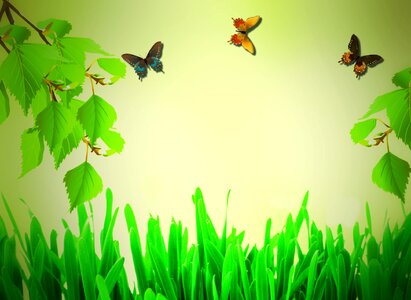 Butterfly green nature. Free illustration for personal and commercial use.