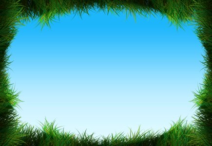 Meadow blades of grass frame. Free illustration for personal and commercial use.