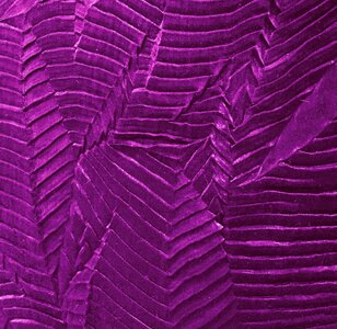 Violet pleats pleated. Free illustration for personal and commercial use.