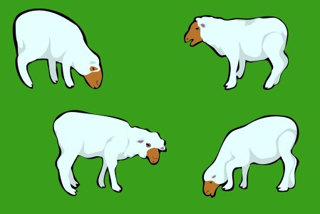 Domestic agricultural sheep. Free illustration for personal and commercial use.