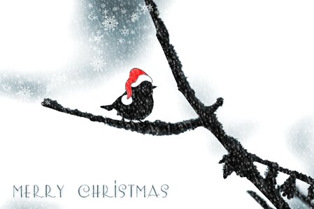 Bird christmas motif hat christmas. Free illustration for personal and commercial use.