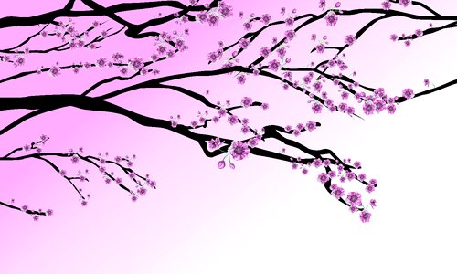 Plant cherry blossom. Free illustration for personal and commercial use.