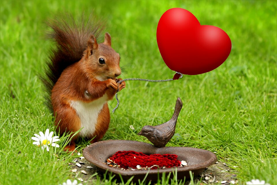 Squirrel holiday composite. Free illustration for personal and commercial use.