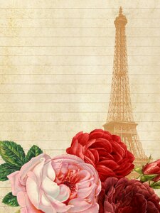 Roses flowers paris. Free illustration for personal and commercial use.