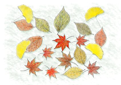 Fallen leaves foliage Free illustrations. Free illustration for personal and commercial use.