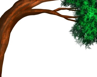 Botany tree trunk. Free illustration for personal and commercial use.