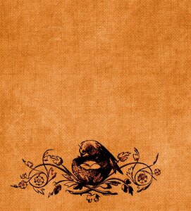 Page bird nest. Free illustration for personal and commercial use.