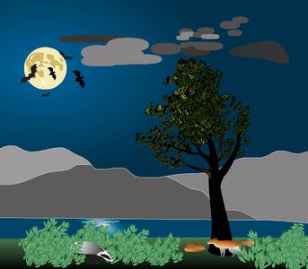 Animal welfare night sky foxes. Free illustration for personal and commercial use.