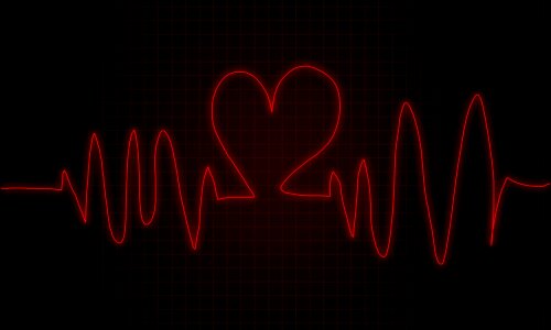 Heart beat heartbeat cardio. Free illustration for personal and commercial use.