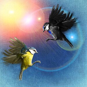 Sky plumage freedom. Free illustration for personal and commercial use.