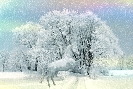 Nature ride snow. Free illustration for personal and commercial use.