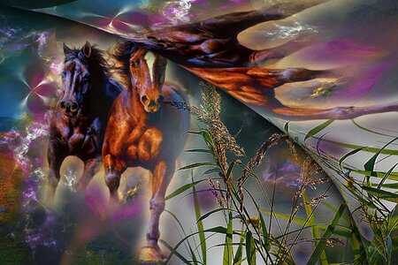 Nature galop imagination. Free illustration for personal and commercial use.