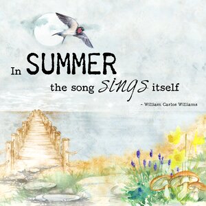 Summer bird motivational. Free illustration for personal and commercial use.