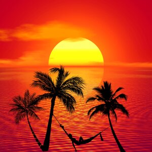 Beach summer tropical. Free illustration for personal and commercial use.
