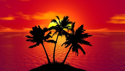 Beach sunset tropical beach sunset beach. Free illustration for personal and commercial use.