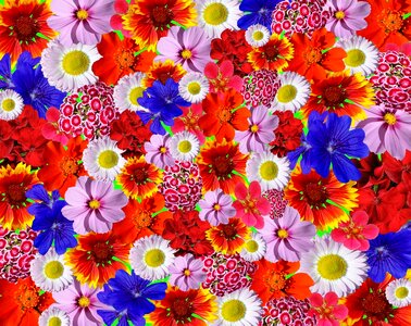 Colorful background summer. Free illustration for personal and commercial use.