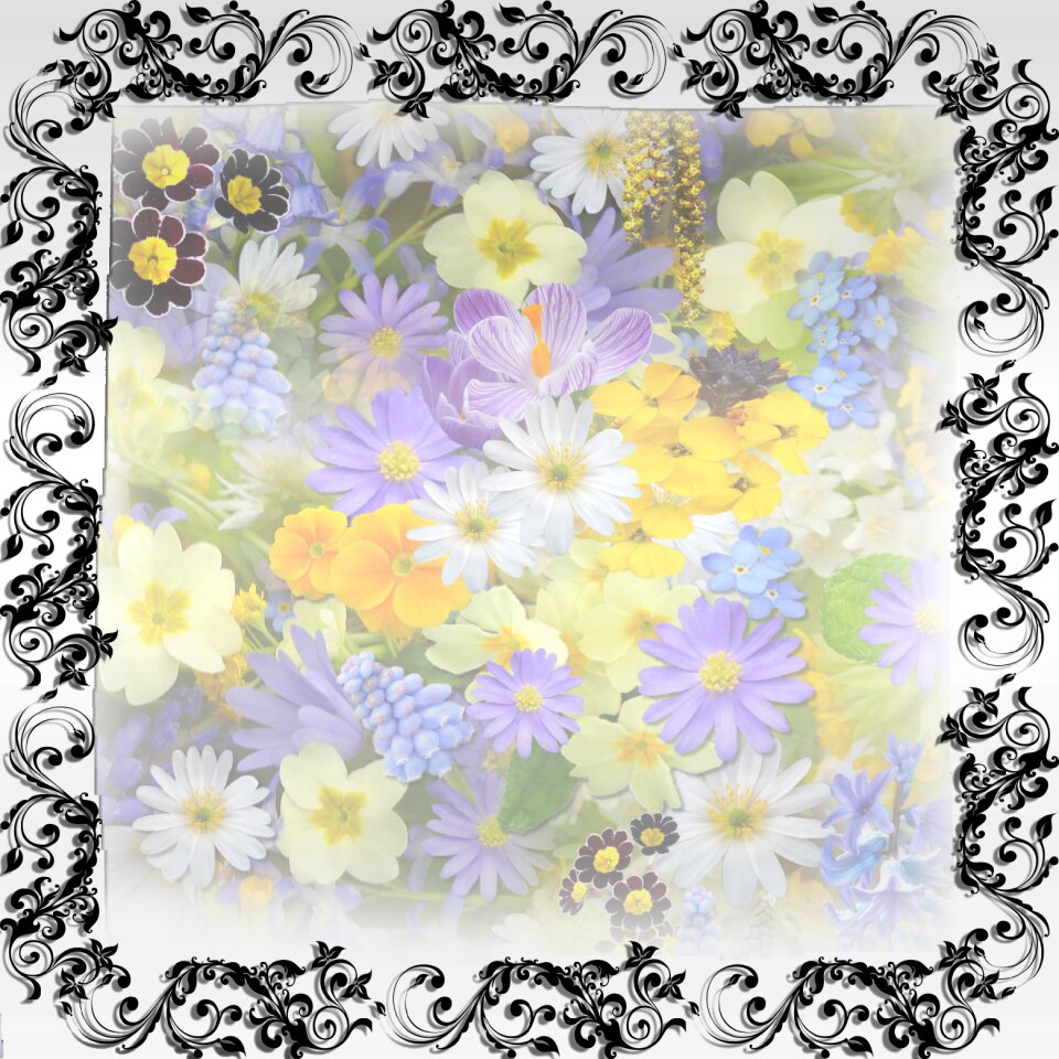 Flowers background Free illustrations. Free illustration for personal and commercial use.