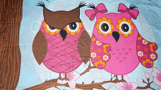 Owls animals Free illustrations. Free illustration for personal and commercial use.