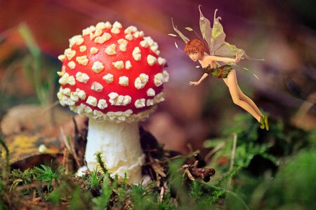 Fly agaric fairy tales fantasy. Free illustration for personal and commercial use.