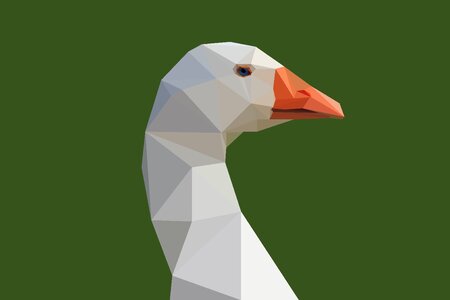 Low poly bird water bird. Free illustration for personal and commercial use.