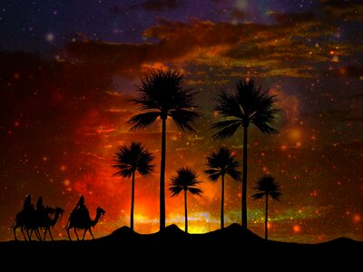 Palm trees camels caravan. Free illustration for personal and commercial use.
