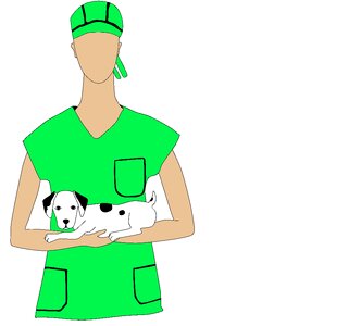 Doctor animals dog. Free illustration for personal and commercial use.