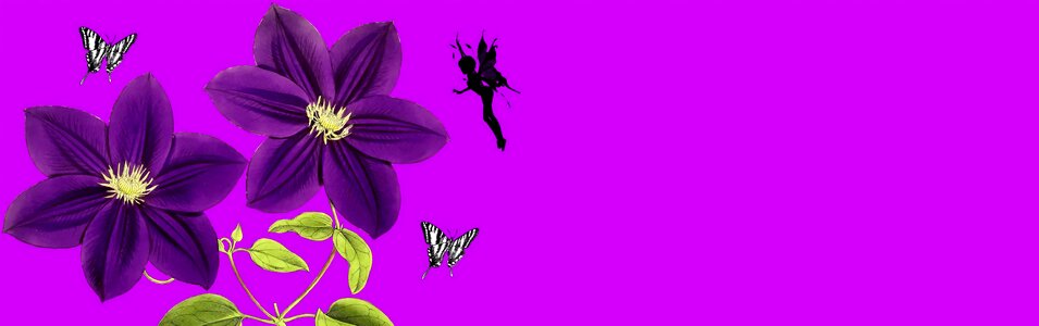 Floral butterfly homepage. Free illustration for personal and commercial use.