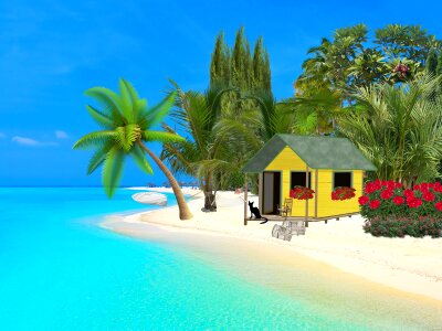 Landscape beach tropics. Free illustration for personal and commercial use.