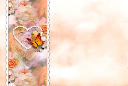 Butterfly love Free illustrations. Free illustration for personal and commercial use.